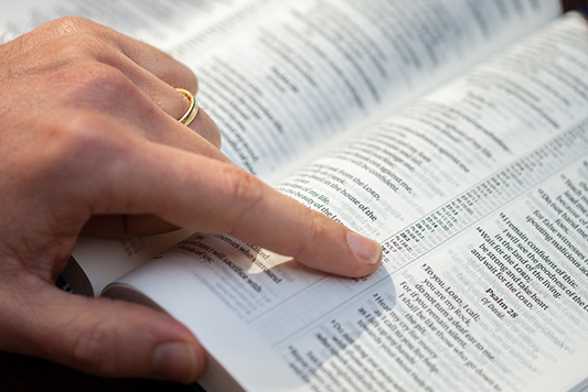 Bible button image_NIV Column Reference Vinyl Bibles